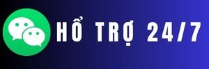 ho_tro_truong_ga_viet_thai